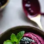 blackberry sorbet