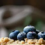 Blueberry Cream Cheese Crumb Cake